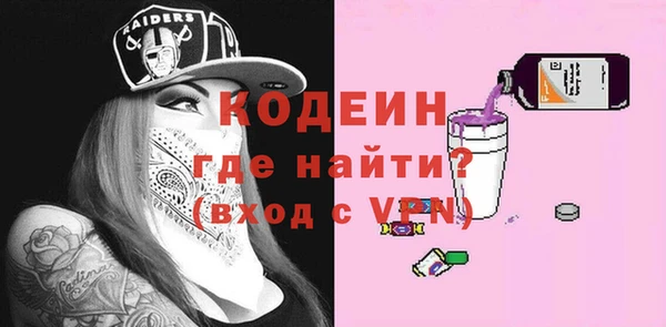 прущие грибы Кодинск