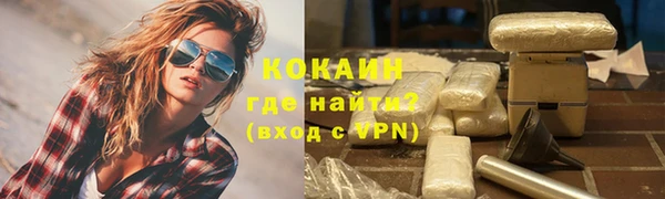 прущие грибы Кодинск
