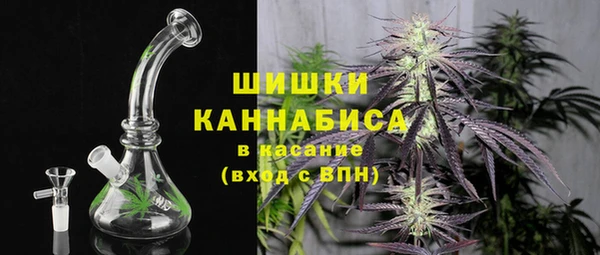 прущие грибы Кодинск
