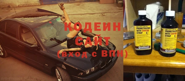 прущие грибы Кодинск