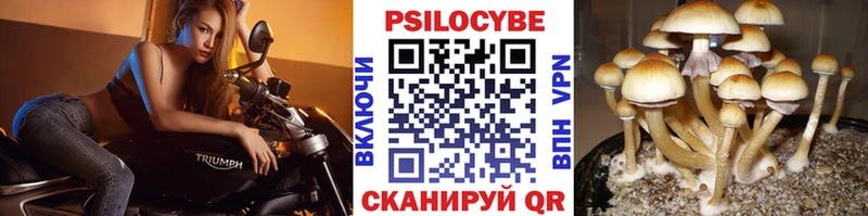 Галлюциногенные грибы ЛСД  Купить где  Велиж 